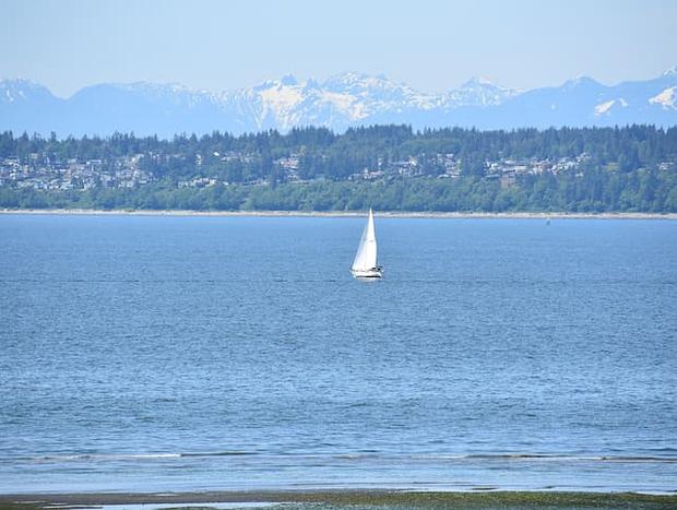 Photo 37 for Waterfront Beachfront Cottage with Amazing Views