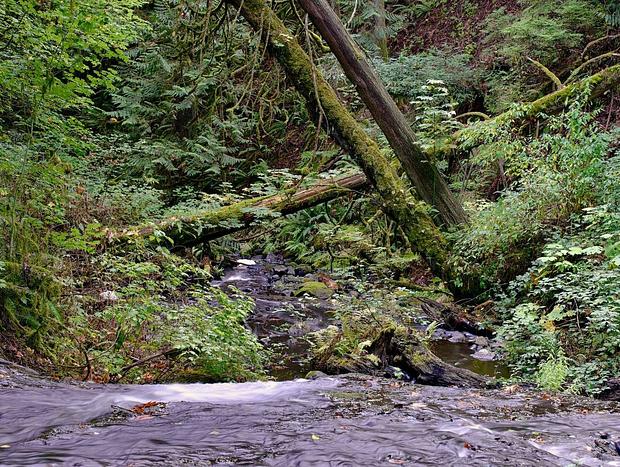 Photo 22 for Private Cottage Right On Creek & 15 Foot Waterfall