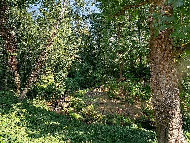 Photo 30 for Private Cottage Right On Creek & 15 Foot Waterfall