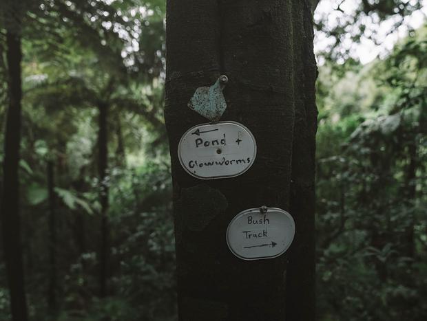 Photo 18 for Relaxing Forest Getaway