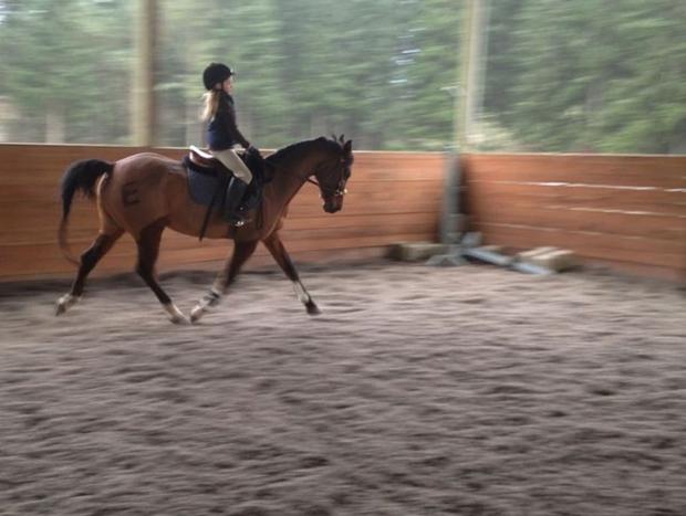 Photo 33 for Wildwood Studio: beach access, pets, horses