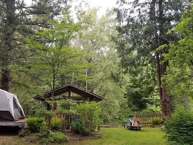 Photo 8 for Tent Platform Glamping In River Mountain Paradise