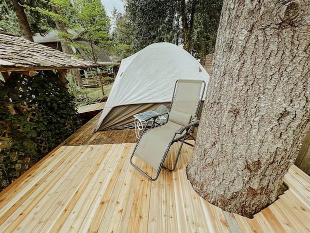 Photo 5 for Tent Platform Glamping In River Mountain Paradise