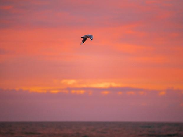 Photo 3 for Watch the Sunrise