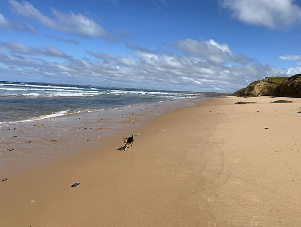 Photo 32 for HEVN On Cape Woolamai Escape