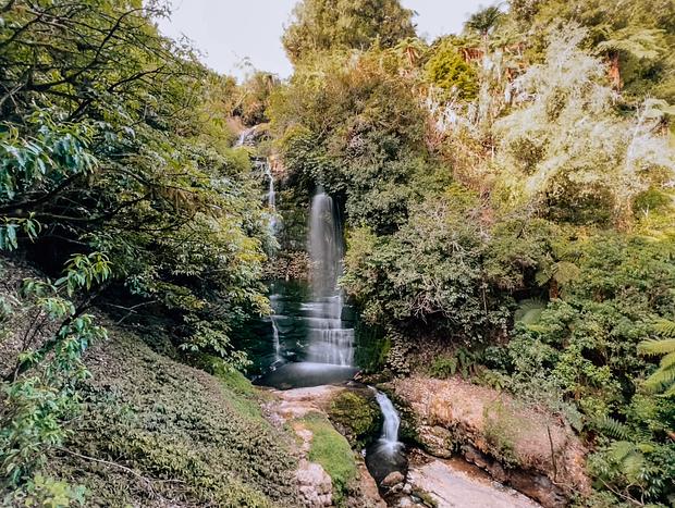 Photo 1 for Waitanguru Falls