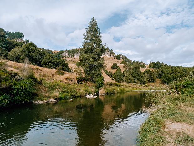 Local Swimming Hole