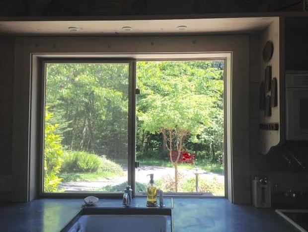 Photo 11 for The Coach House - 40 Acres & Dog-friendly