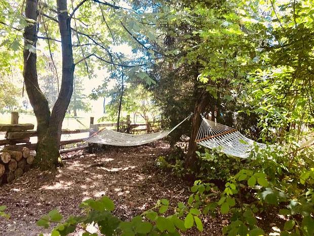 Photo 34 for Forest Cabin - Soaking Tub, Beach Access, Pets