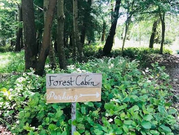 Photo 40 for Forest Cabin - Soaking Tub, Beach Access, Pets