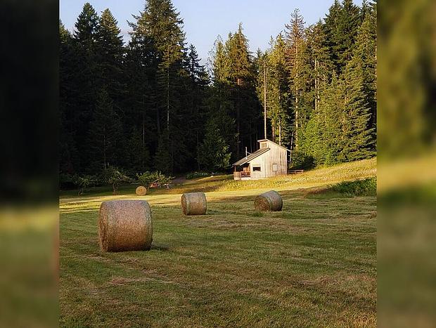 Photo 29 for Fir Cottage - A Lovely, Private Cabin On 40 Acres