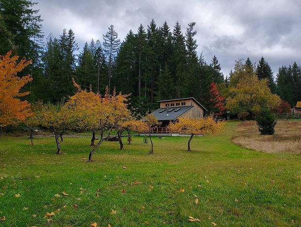 Photo 28 for Fir Cottage - A Lovely, Private Cabin On 40 Acres