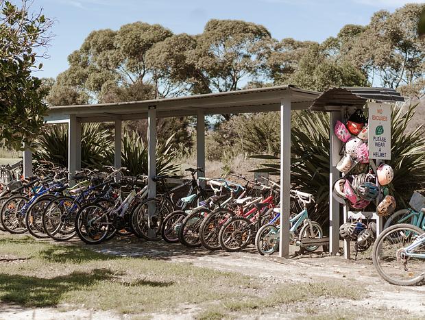 Photo 2 for Whitianga Mountain Bike Park