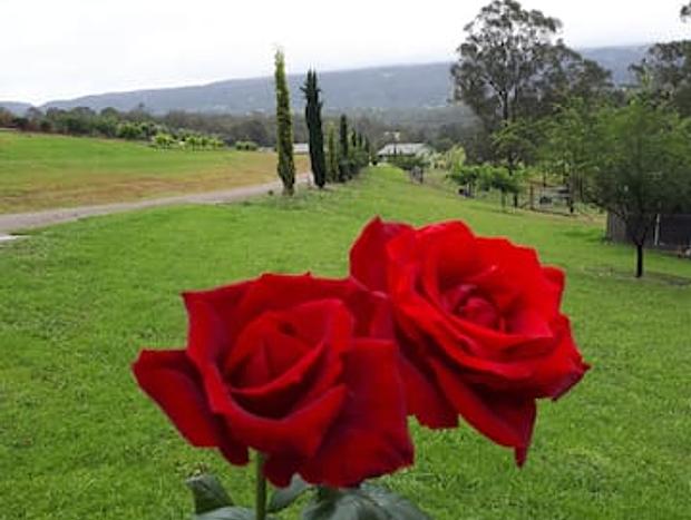 Photo 16 for Highfields Country Farm Stay Kurrajong