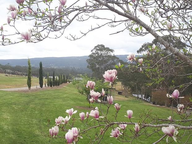 Photo 20 for Highfields Country Farm Stay Kurrajong