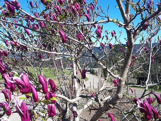 Photo 14 for Highfields Country Farm Stay Kurrajong