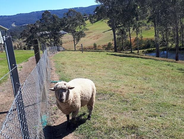 Photo 31 for Highfields Country Farm Stay Kurrajong