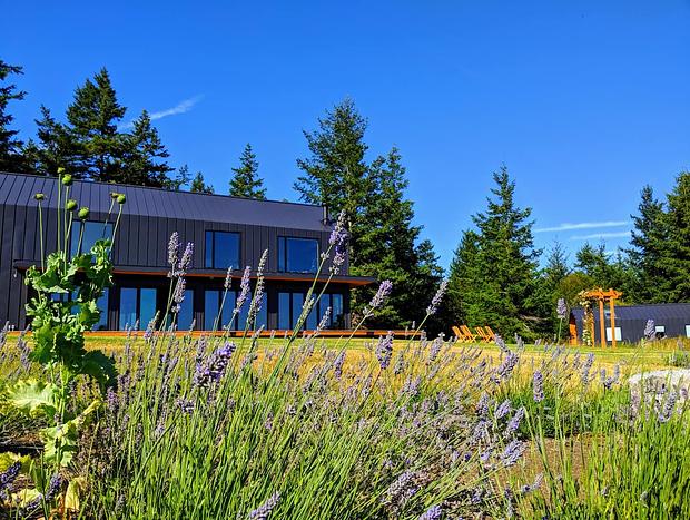 Photo 6 for Private Guesthouse Surrounded By Majestic Firs