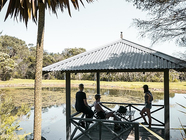 Photo 11 for A Place Beyond the Pines