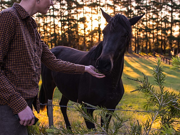 Photo 14 for A Place Beyond the Pines