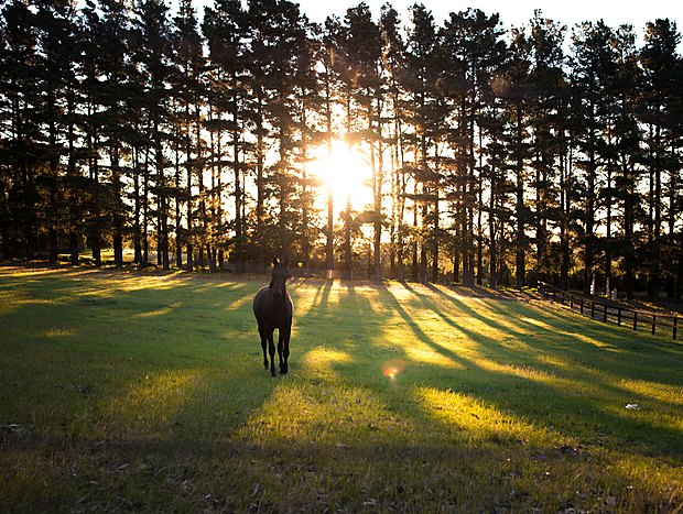 Photo 13 for A Place Beyond the Pines