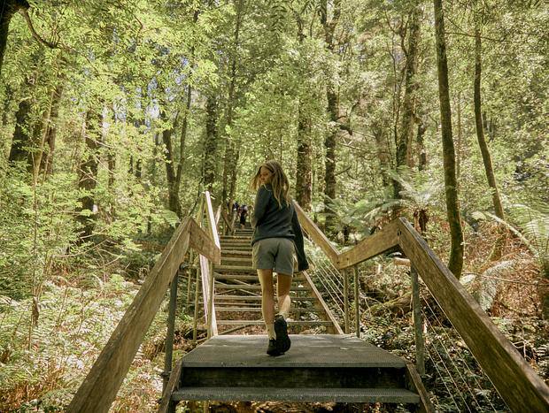 Photo 14 for Forest Bathing