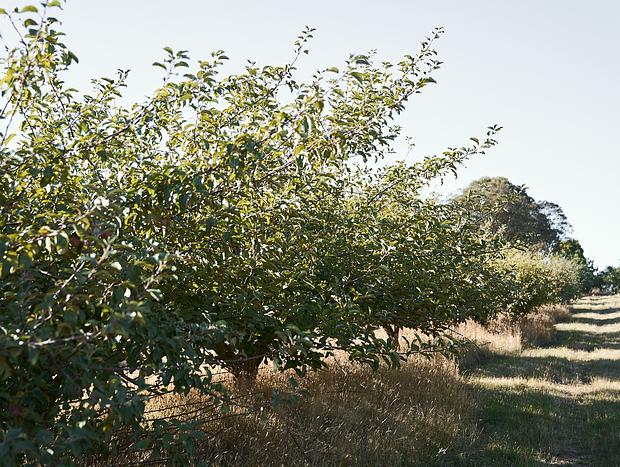 Photo 18 for All-Encompassing Eco Village