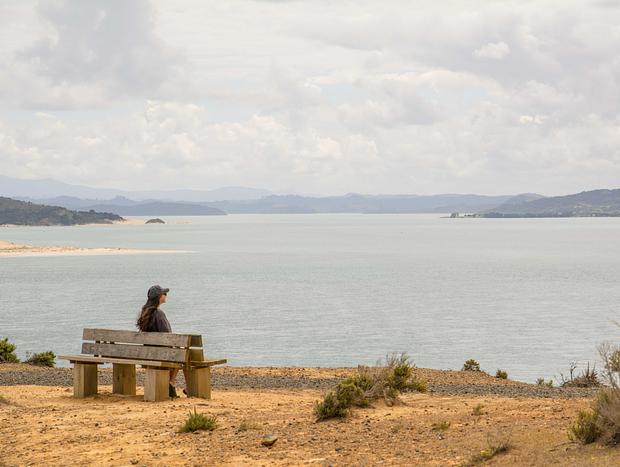 Photo 1 for Arai Te Uru Reserve
