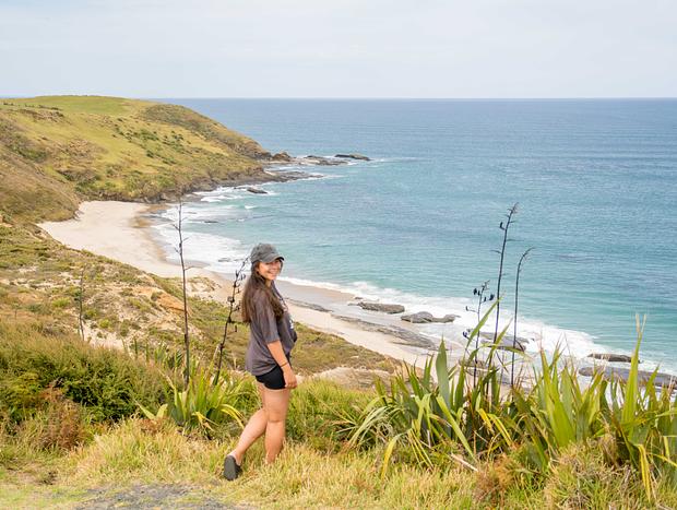 Photo 2 for Arai Te Uru Reserve