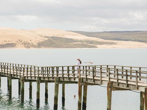 Photo 3 for Hokianga Harbour