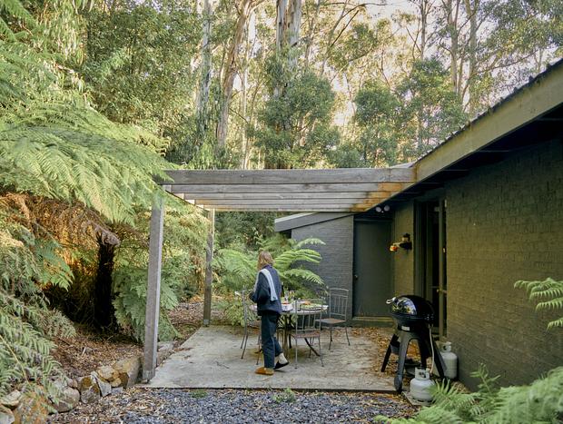 Photo 10 for Forest Bathing