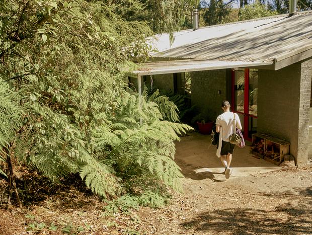 Photo 13 for Forest Bathing