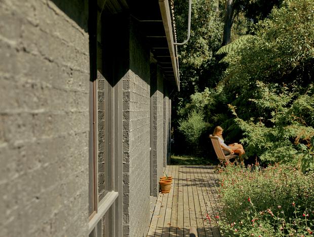 Photo 12 for Forest Bathing