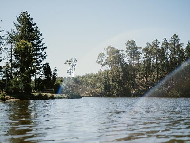 Photo 5 for Swimming at St Georges Lake