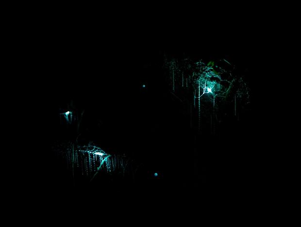 Photo 15 for Glamping & Glowworms