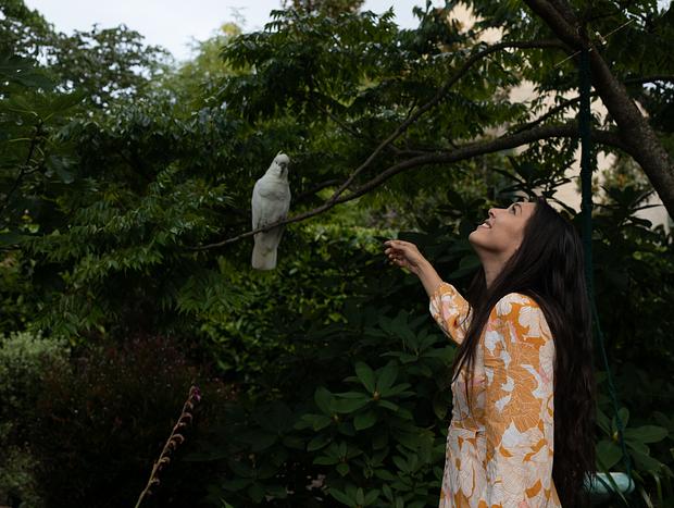 Photo 1 for Secret Garden
