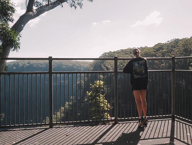Photo 3 for Walking Around Fitzroy Falls
