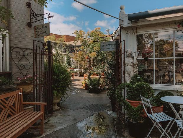 Photo 3 for Exploring Antiques, the Orangery and Harry's at Green Lane
