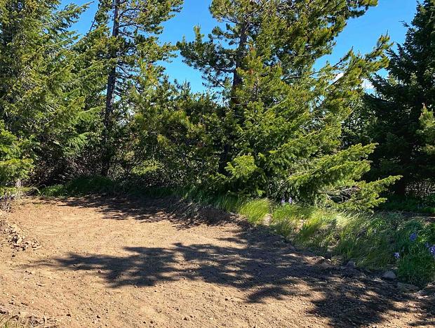 Photo 7 for White Aspen - Dragontail Rustic Camp