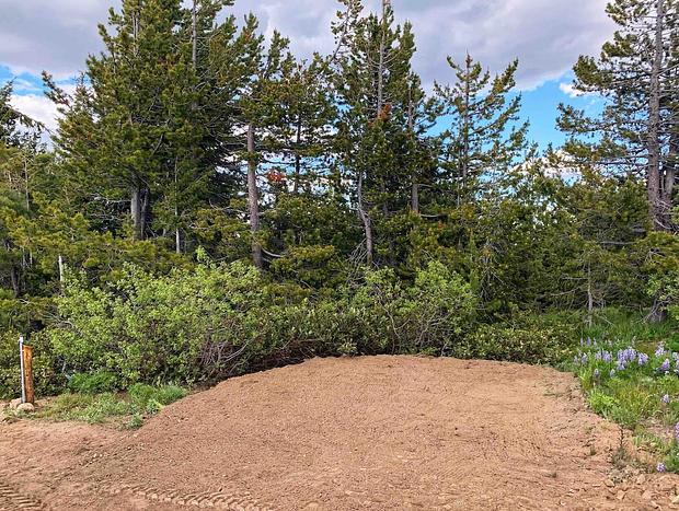 Photo 4 for White Aspen - Dragontail Rustic Camp