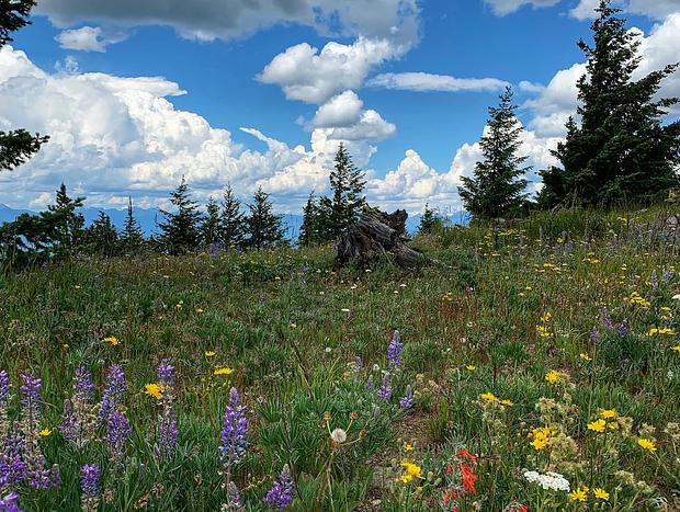 Photo 26 for White Aspen - Dragontail Rustic Camp