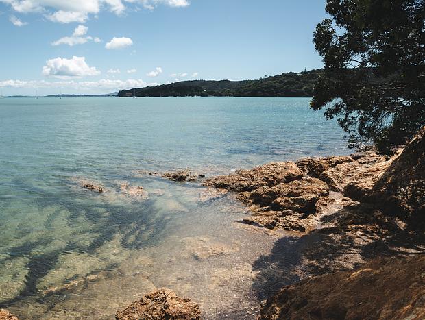 Photo 1 for Whakanewha Regional Park