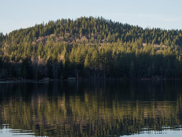 Photo 10 for A Luxurious Mt. Baker Lakeside Getaway