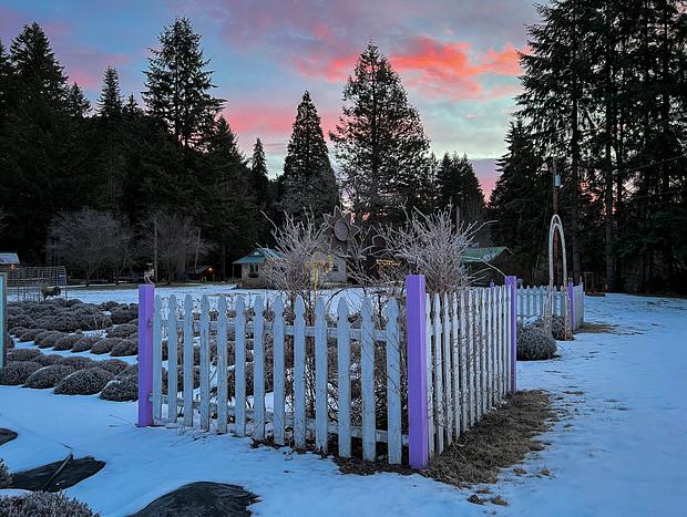Photo 3 for Lavender Farm Bungalow Escape