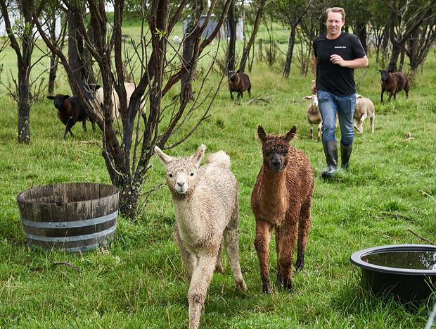 Photo 15 for Escape to the Dawning Day Farms Vineyard