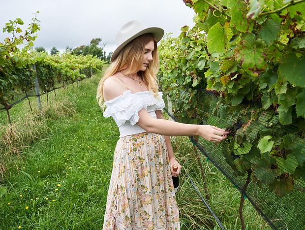 Photo 13 for Escape to the Dawning Day Farms Vineyard