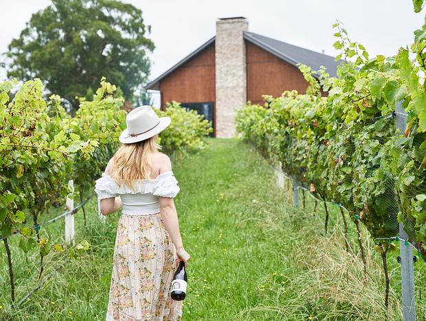 Photo 12 for Escape to the Dawning Day Farms Vineyard