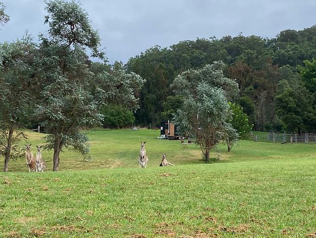 Photo 18 for The Wollombi Wanderer