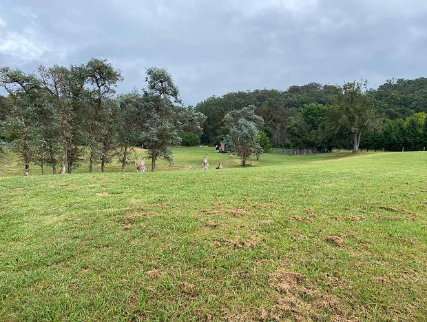 Photo 19 for The Wollombi Wanderer