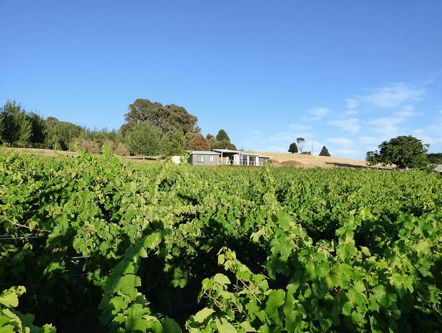 Photo 23 for Mt Stanley Rd Vineyard Retreat
